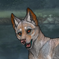 T1 G3 Fox Eye Pup Headshot