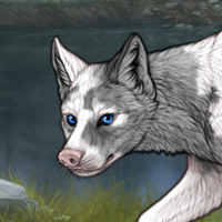 GIFT <3 Piebald Uneven Headshot