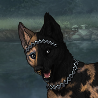 A Breeder 9 Headshot