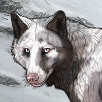 Harlequin Headshot