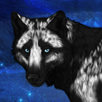 Wolf Headshot