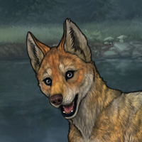 Pup of Hellfire Headshot