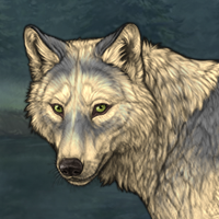 Wolf Headshot