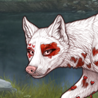 Albino/Runt/Male Headshot