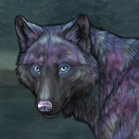 Darkrainbow Winterwolf Headshot