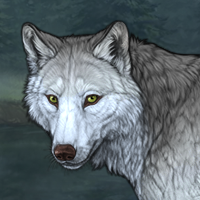 Wolf Headshot