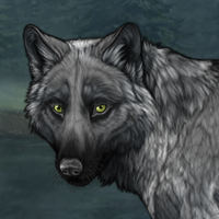 Wolf Headshot