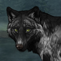 Wolf Headshot