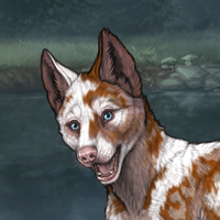 PIEBALD UNEVEN Headshot