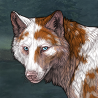 PIEBALD UNEVEN Headshot