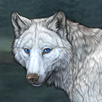 Wolf Headshot