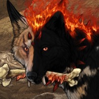 Wolf Headshot