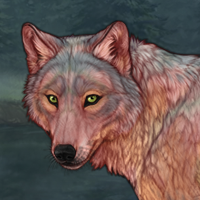 Noble Wolf Headshot