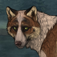 Wolf Headshot