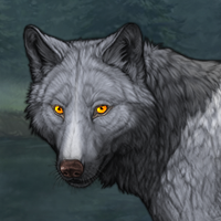 Wolf Headshot