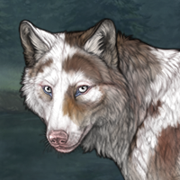 4: Itzel - Piebald Headshot