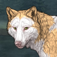 Piebald Frontal Headshot