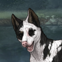 Piebald: Torn Headshot