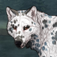 Dalmatian Headshot