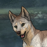 Enclave Pup Headshot