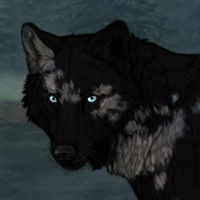 Nocturne Mottled 2 Headshot