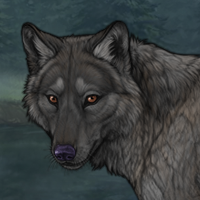 Wolf Headshot