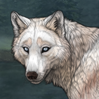 T1 White | Husky Headshot