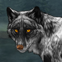 Wolf Headshot