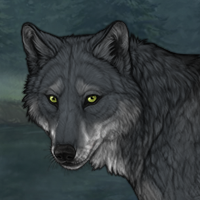Wolf Headshot