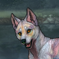 Summerset Headshot