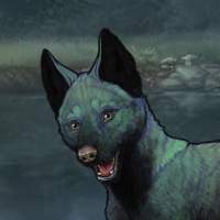 lead green male pup Headshot