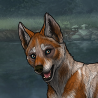 Enclave Pup Headshot