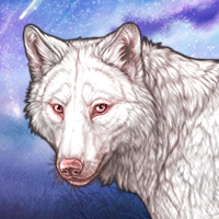 Wolf 🐺 Headshot