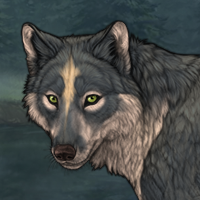 Wolf Headshot