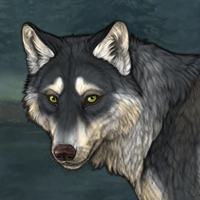 Wolf Headshot