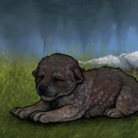 CN Khaos' Biotite Headshot