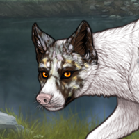 Piebald: Biewer | Female Headshot