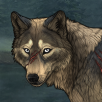 Wolf Headshot