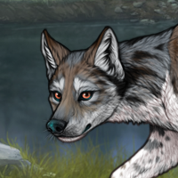 Piebald: Zerdava Headshot