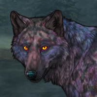 Skoll Headshot