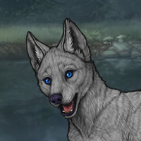 Enclave Puppy Headshot