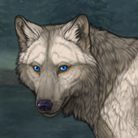 Forge Headshot