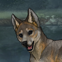 F T2 579 Headshot