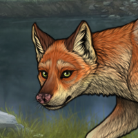 fox Headshot