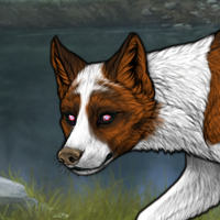 ○F Rufous SmoPan chas Headshot