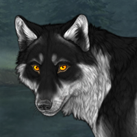 Wolf Headshot
