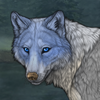 Graypelt Headshot