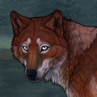 BREED Chestnut F 731 Any Headshot