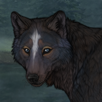 blueschist Headshot