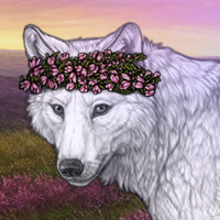 Wolf Headshot